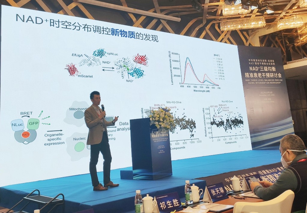 NAD+干预为心脑血管疾病治疗提供新思路(图2)