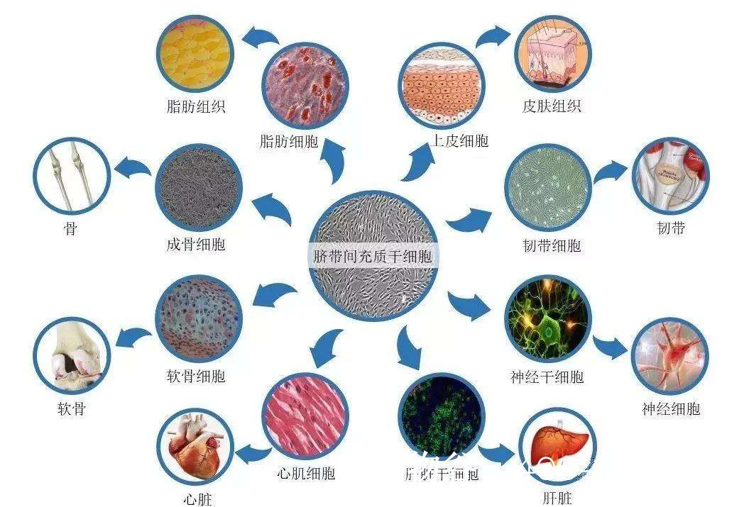 什么是肿瘤介入治疗？特点如何？-健康之家-北方网(图1)