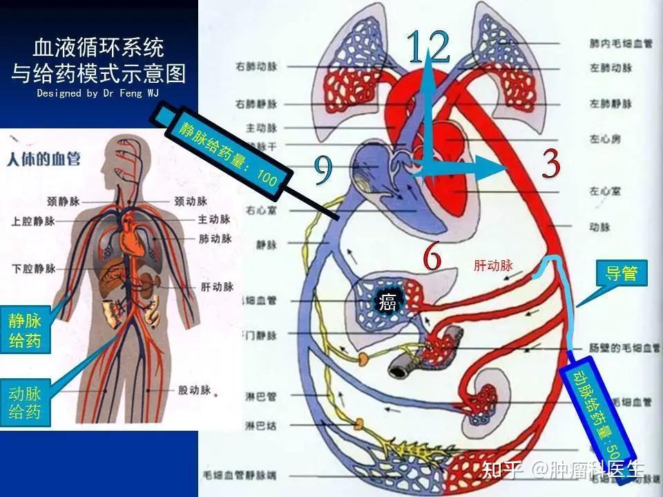 半岛官网入口网页版华北制药提交WA1-089片临床申请为1类血液系统药物(图1)