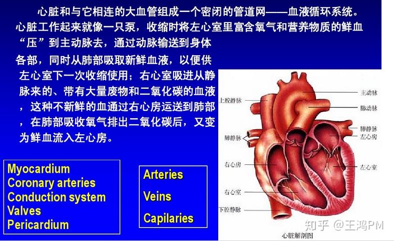 十大用药提示七：降糖药物来减肥不是人人都适宜(图1)