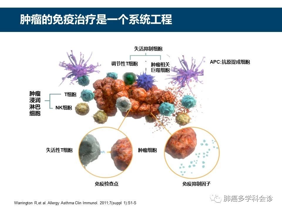 肿瘤学科共建远半岛官网入口网页版程联合门诊优质医疗资源合作共享缓解“看病远看病难”(图1)