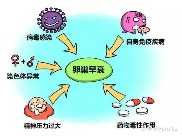 半岛bob综合登入医疗新闻_医疗科技行业新闻_医疗信息平台-OFweek医疗科技网(图1)