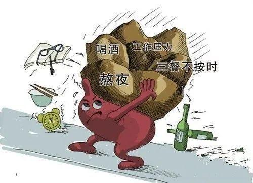 半岛·体育中国官方网肝癌的常见病因你知道那一种？(图1)