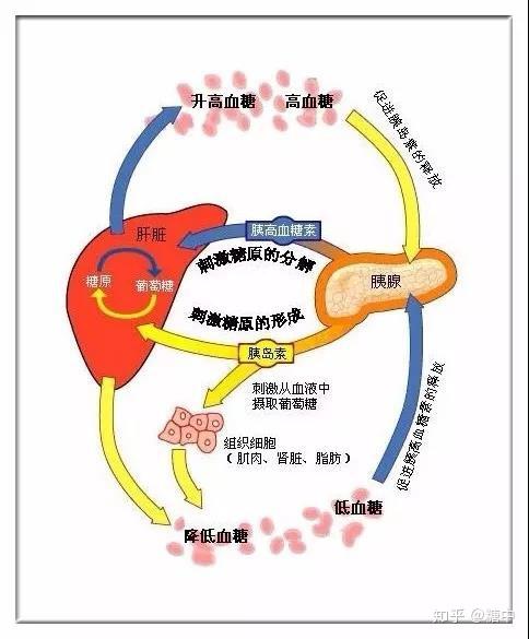 卫光生物董秘回复：静注人免疫球蛋白适用症为：原发性免疫球蛋白缺乏症常见变异性免疫缺陷病免疫球蛋白G亚型缺陷病等；继发性免疫球蛋白缺陷病如重症感染新生儿败血症等；自身免疫性疾病如原发性血小板减少性紫癜川(图1)