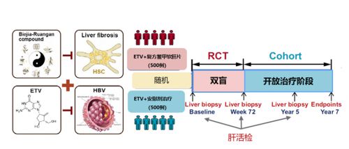 福瑞股份双抗治疗：突破肝病治疗困境中医药发挥优势半岛·体育中国官方网(图1)