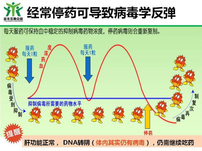 恩替卡韦替诺福韦服用注意事项建议收藏(图4)