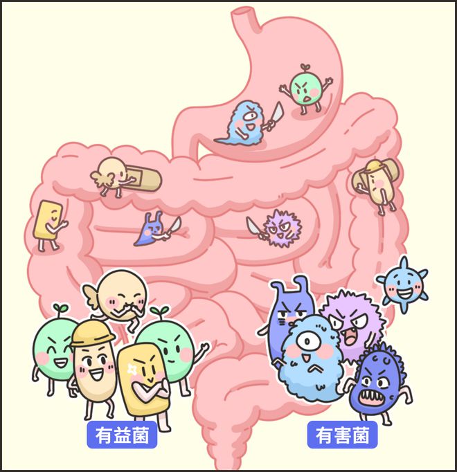 抗生素滥用的半岛·综合体育官网入口1个巨大危害不止是无药可用而是……(图4)