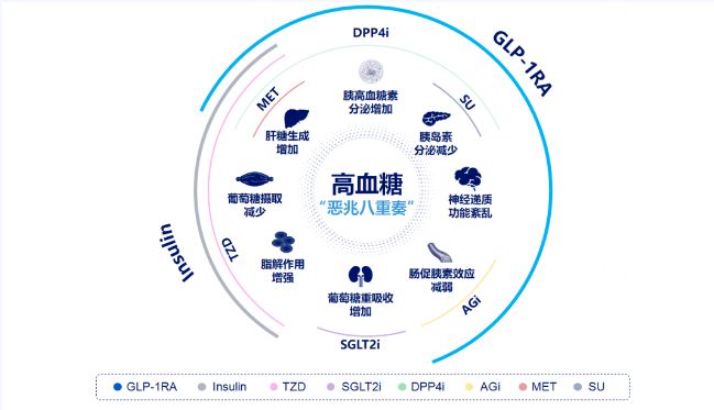 发病机制错综复杂新型降糖药一招制敌简约而不简单(图1)