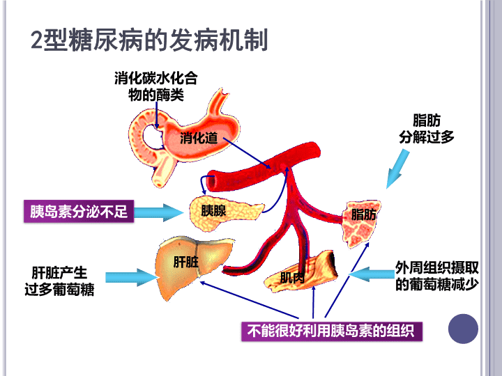 BOB半岛·体育官方平台信立泰业绩持续下滑创新药转型有望带动收入增长(图1)