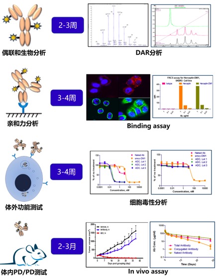 智翔金泰获开源证券买入评级聚焦抗体药物研发单品IL-17A单抗预计即将获批(图1)