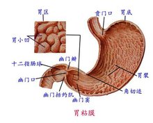 消化系统用药市场潜力可期2016规模将达2000亿元(图1)