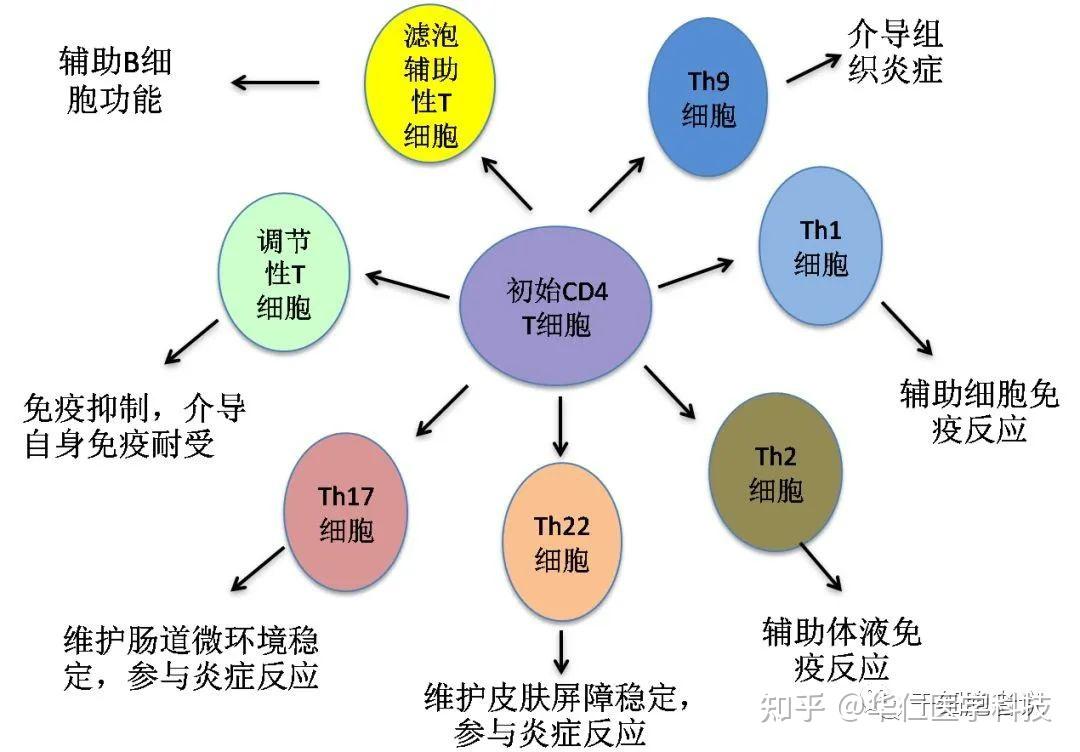 高科技行业门户(图1)