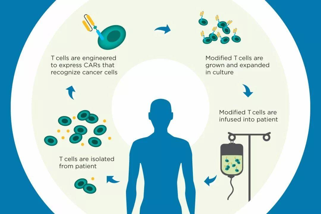 半岛·体育中国官方网华兰生物：公司研发的静注人免疫球蛋白（IVIG）（10%）处于III期临床试验阶段(图1)